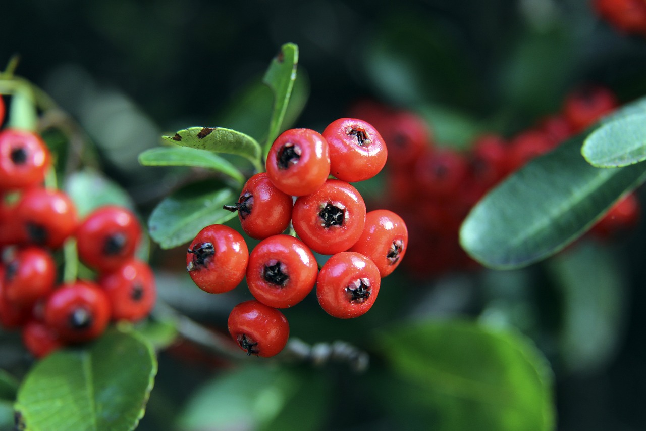 阿森纳补时阶段错失良机