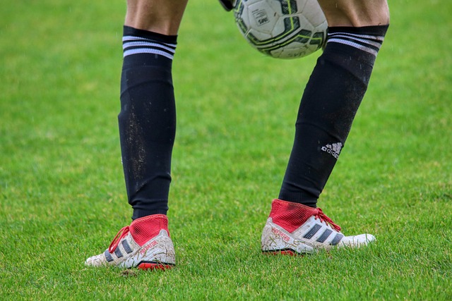 英超半场：达姆斯高、弗莱明造险，布伦特福德0-0伯恩利